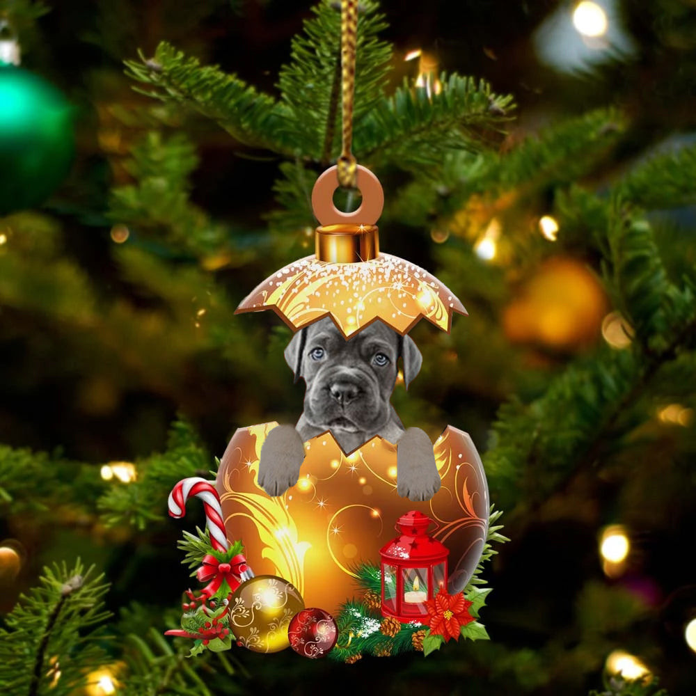Cane Corso In in Golden Egg Christmas Ornament Flat Acrylic Dog Ornament