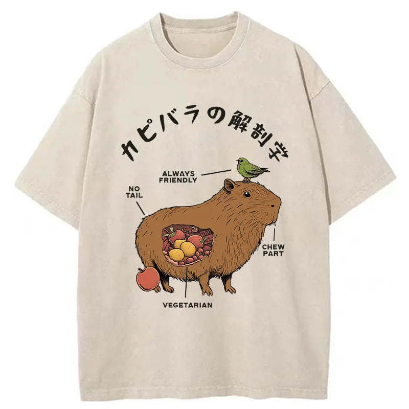 Capybara Anatomy Washed T-Shirt Minimal Retro Graphic Clothing Gifts For Him Capybara Anatomy Washed T-Shirt Minimal Retro Graphic Clothing Gifts For Him