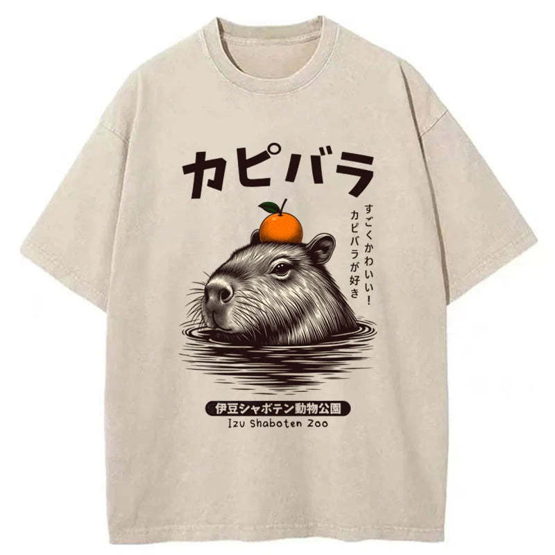 Capybara Hot Spring Washed T-Shirt Classic Graphic Fashion Tee Gifts For Besties Capybara Hot Spring Washed T-Shirt Classic Graphic Fashion Tee Gifts For Besties