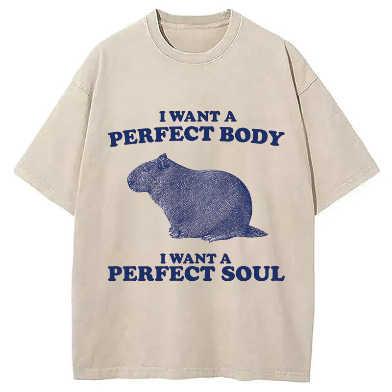 Capybara I Want A Perfect Washed T-Shirt Trendy Aesthetic Graphic Apparel Gifts For Best Friend