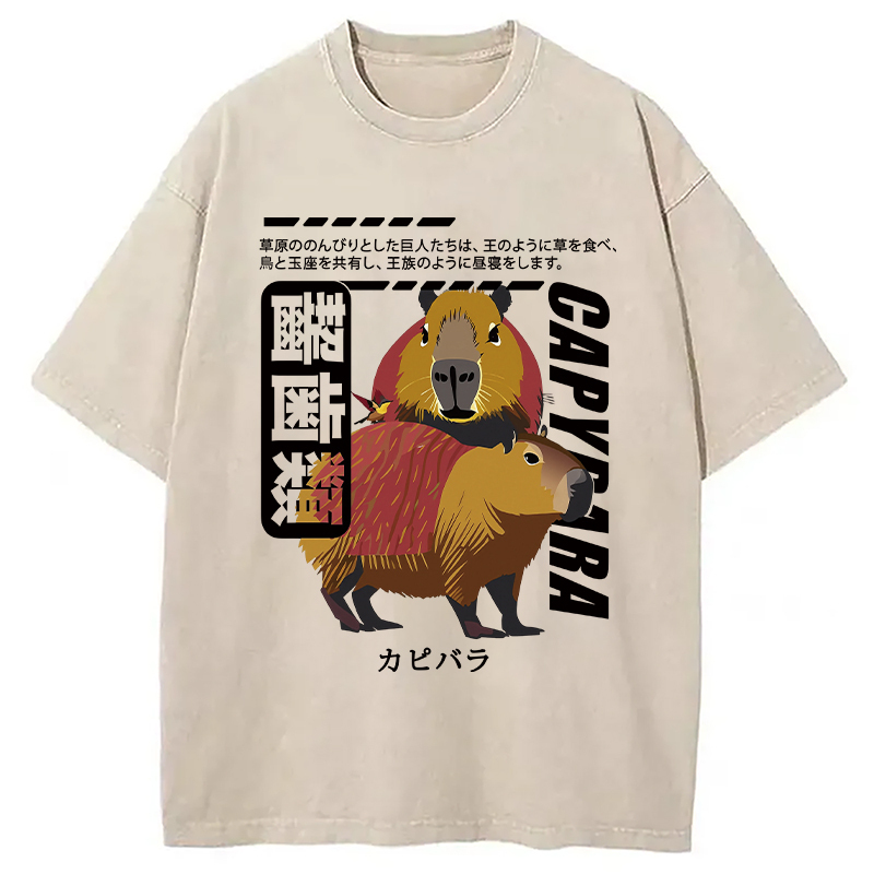 Capybara Japanese Washed T-Shirt Cool Graphic Tee For Men Women Gifts For Best Friend