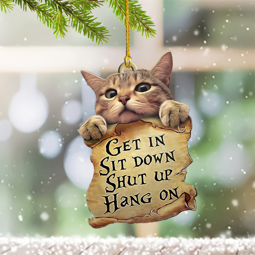 Cat Christmas Ornament Cat Christmas Tree Ornaments Get In Sit Down Shut Up Hang On