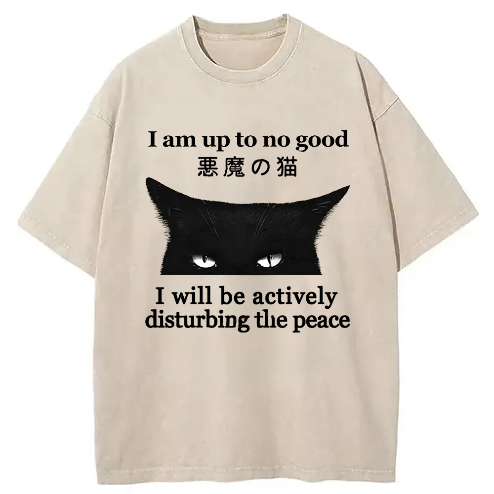 Cat Disturbing The Peace Washed T-Shirt Soft Comfortable Daily T Shirt Gifts For BFF
