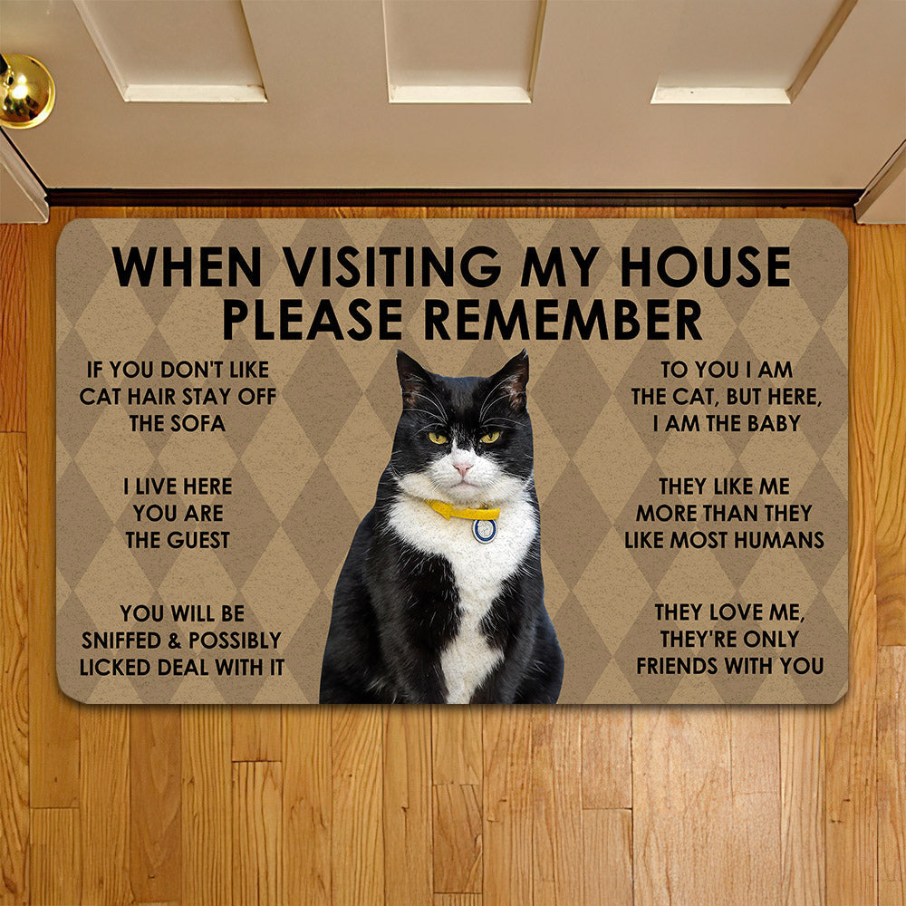 Cat Doormat Please Remember I Live Here You Arethe Guest Gift For Cat Lovers New Home Gift Housewarming Gift Cat Decor
