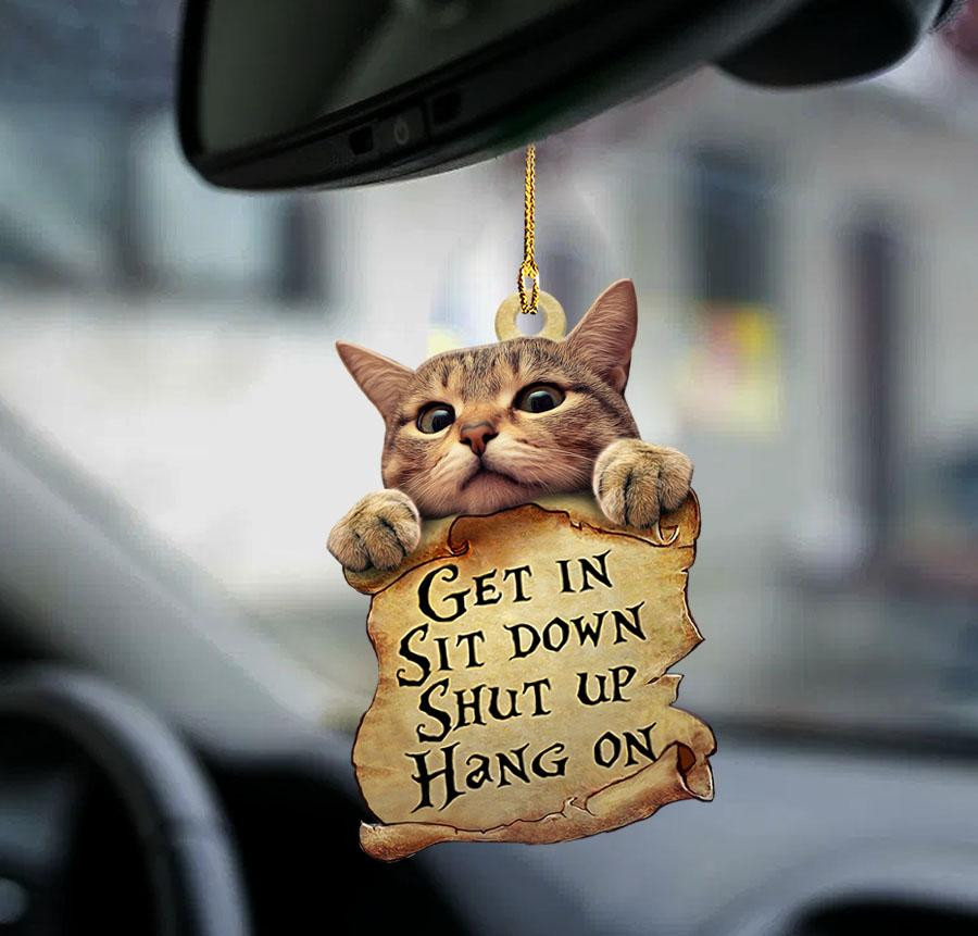 Cat get in cat lover two sided ornament Funny Cat Ornaments