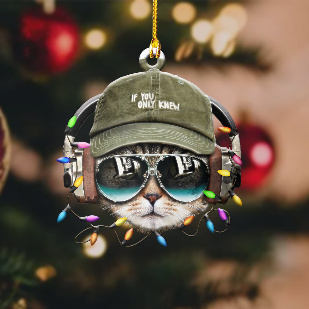 Cat Head If You Only Knew Ornament Cool Christmas Ornament Gift Ideas For Cat Lovers