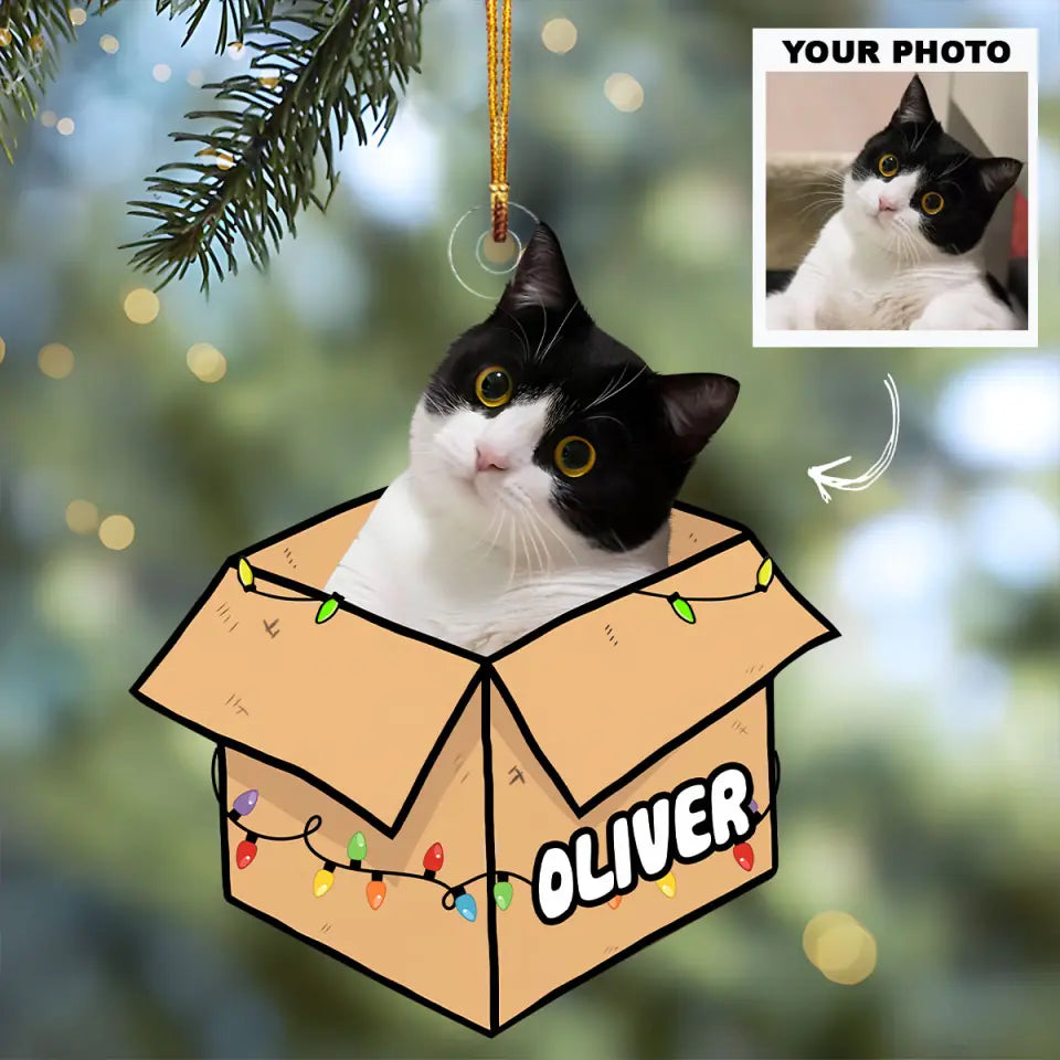 Cat In The Box Personalized Custom Photo Mica Ornament Christmas Gift For Cat Mom Cat