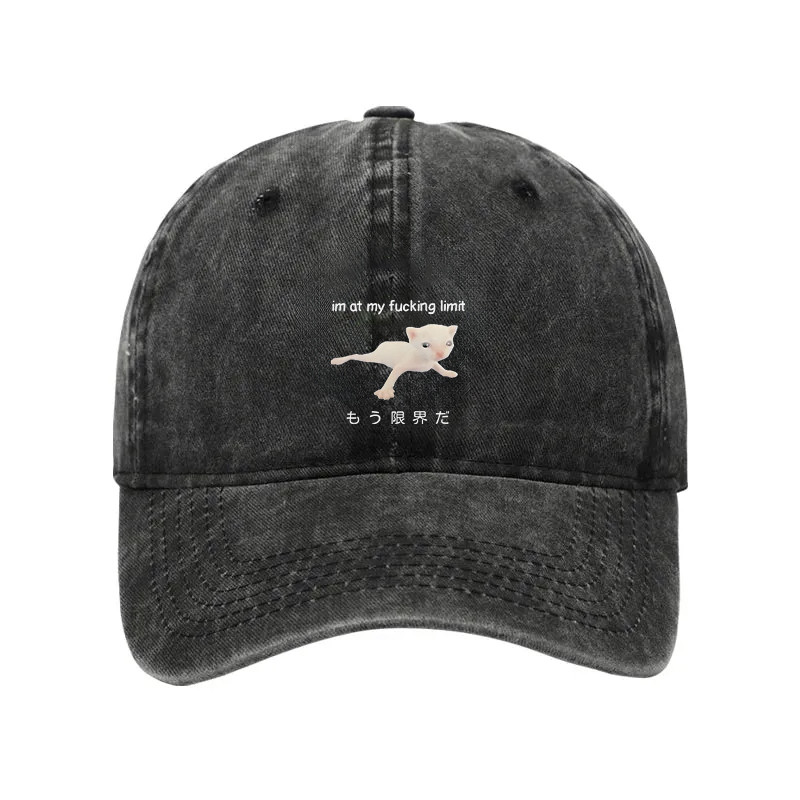 Cat Reaching Its Limit Washed Hat Cute Cat Animal Baseball Cap Funny Gift Ideas