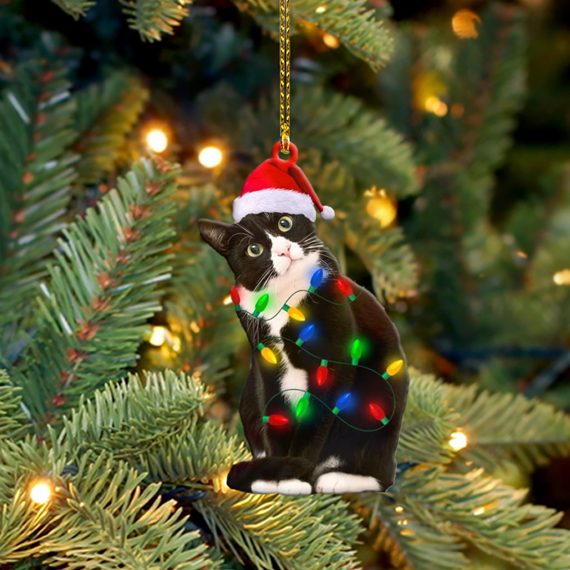 Cat Santa With Light Christmas Ornament Christmas Tree Decorating Ideas Cat Lovers Gift