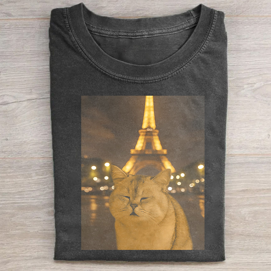 Cat Taking Selfie With Eiffel Tower Funny T-Shirt Travel Cat Lovers Merch Best Gift For Animal Lovers