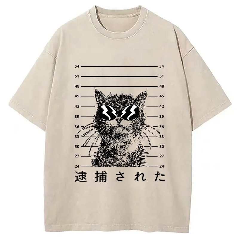 Cat Was Arrested Washed T-Shirt Classic Graphic Fashion Tee Gifts For Him