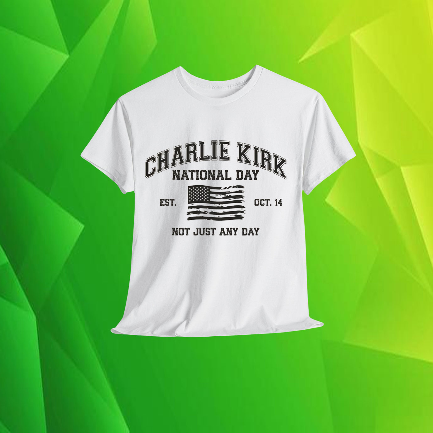 Charlie Kirk National Day America Not Just Any Day Shirt