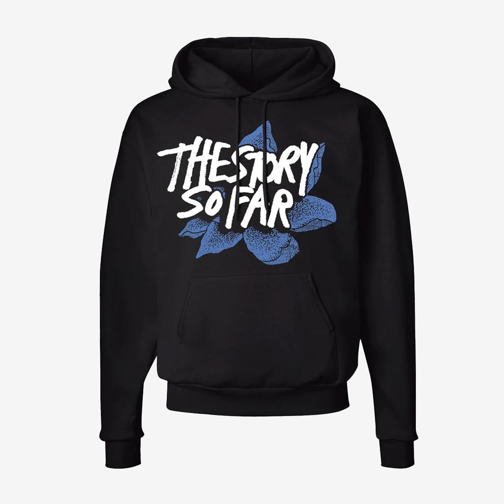 Cold Cuts Merch The Story So Far What You Don't See Hoodie Music Band Hoodie Gifts