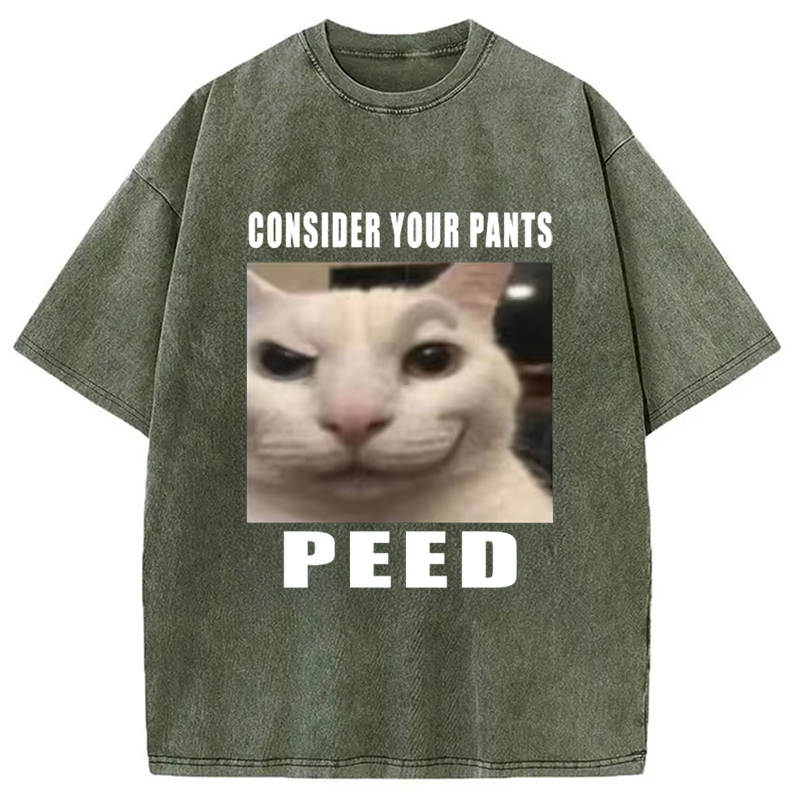 Consider Your Pants Peed Meme Washed T-Shirt Retro Humor Outfit Idea Gifts For Him