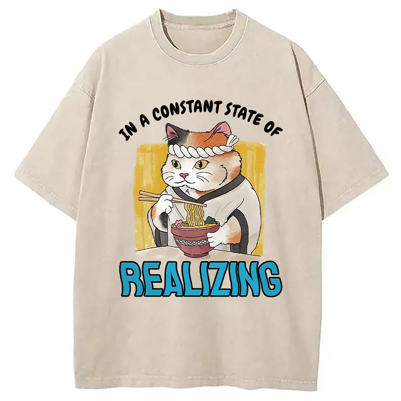 Constant State Of Realizing Cat Washed T-Shirt Funny Aesthetic Trendy Apparel Gifts For Best Friend