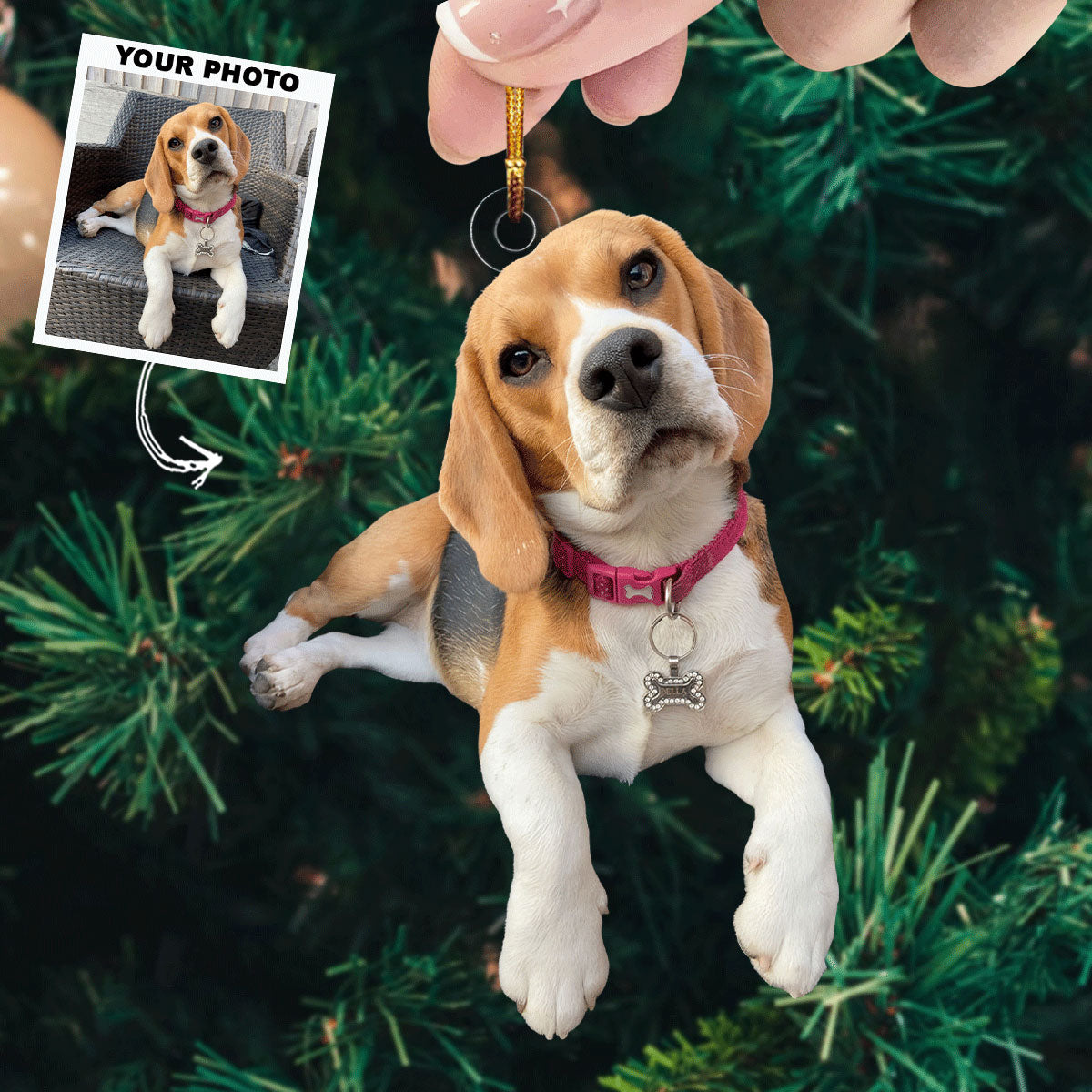 Curious Beagle Personalized Photo Mica Ornament Gift For Dog Lovers Dog Owners