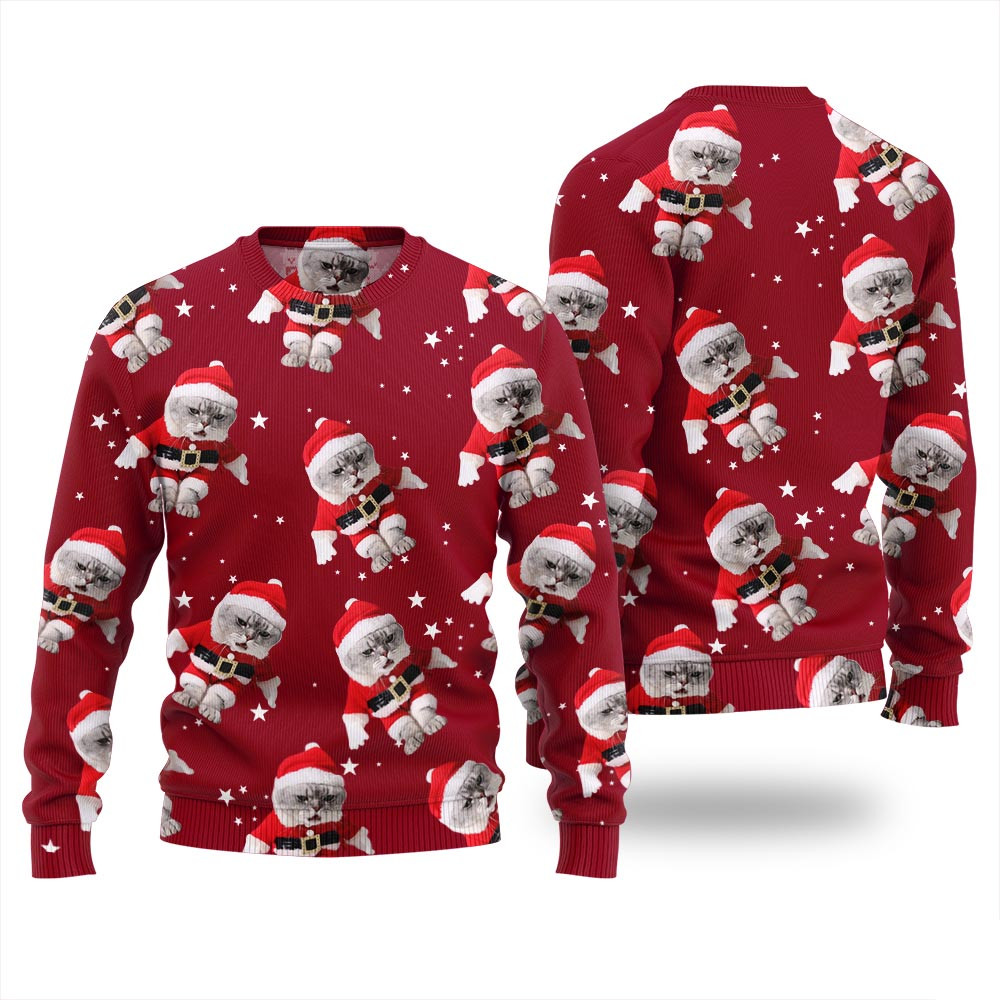 Custom Cats Funny Christmas Sweater For Women Funny Ugly Christmas Sweater