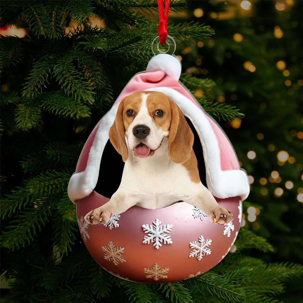 Custom Photo Gifts For Pet Lovers Ornament Christmas - Christmas Ornament Gift Idea