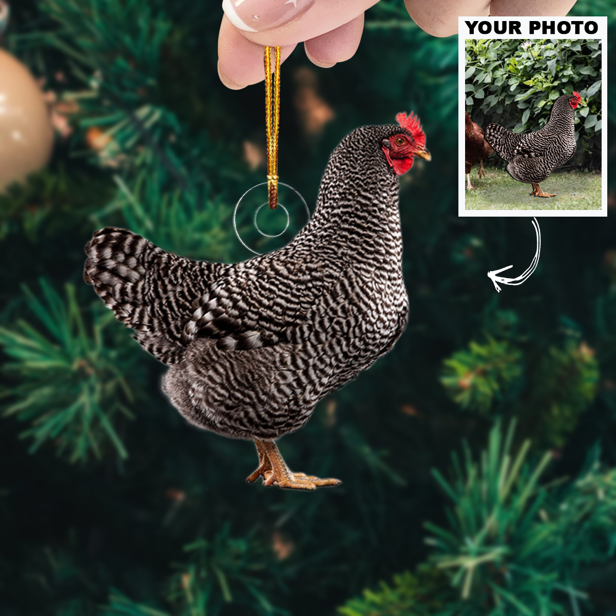 Customized Photo Ornament Personalized Photo Mica Ornament Christmas Gift For Chicken