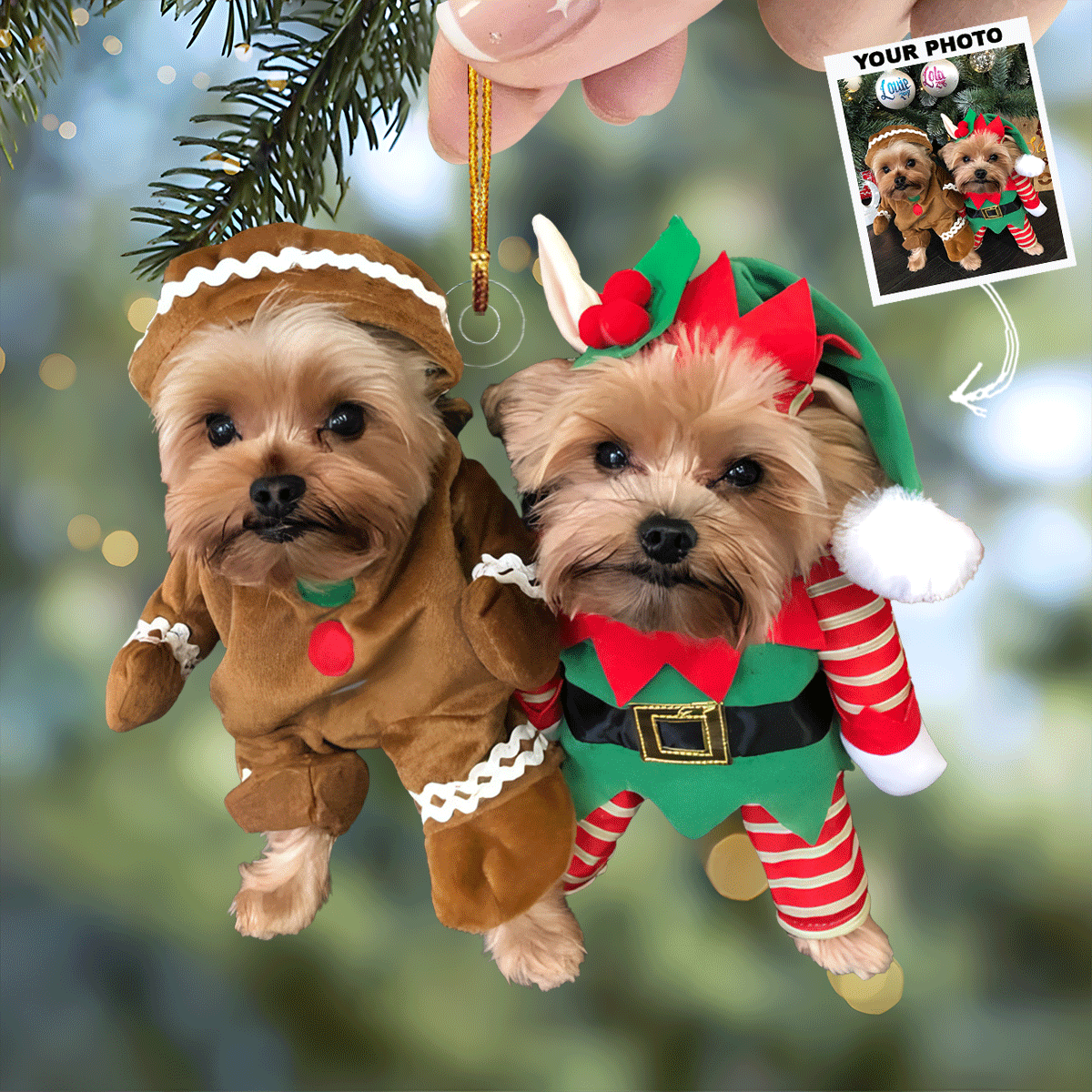 Cute Duo Personalized Photo Mica Ornament Gift For Dog Lovers Pet Lovers Dog Mom Dog