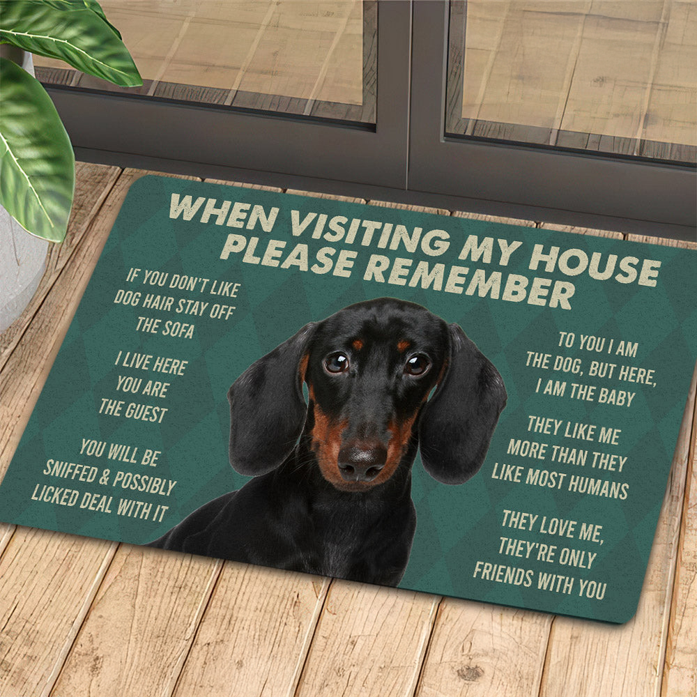 Dachshunds Dog Doormat Please Remember I Live Here Gift For Dog Lovers Housewarming Gift Dog Decor