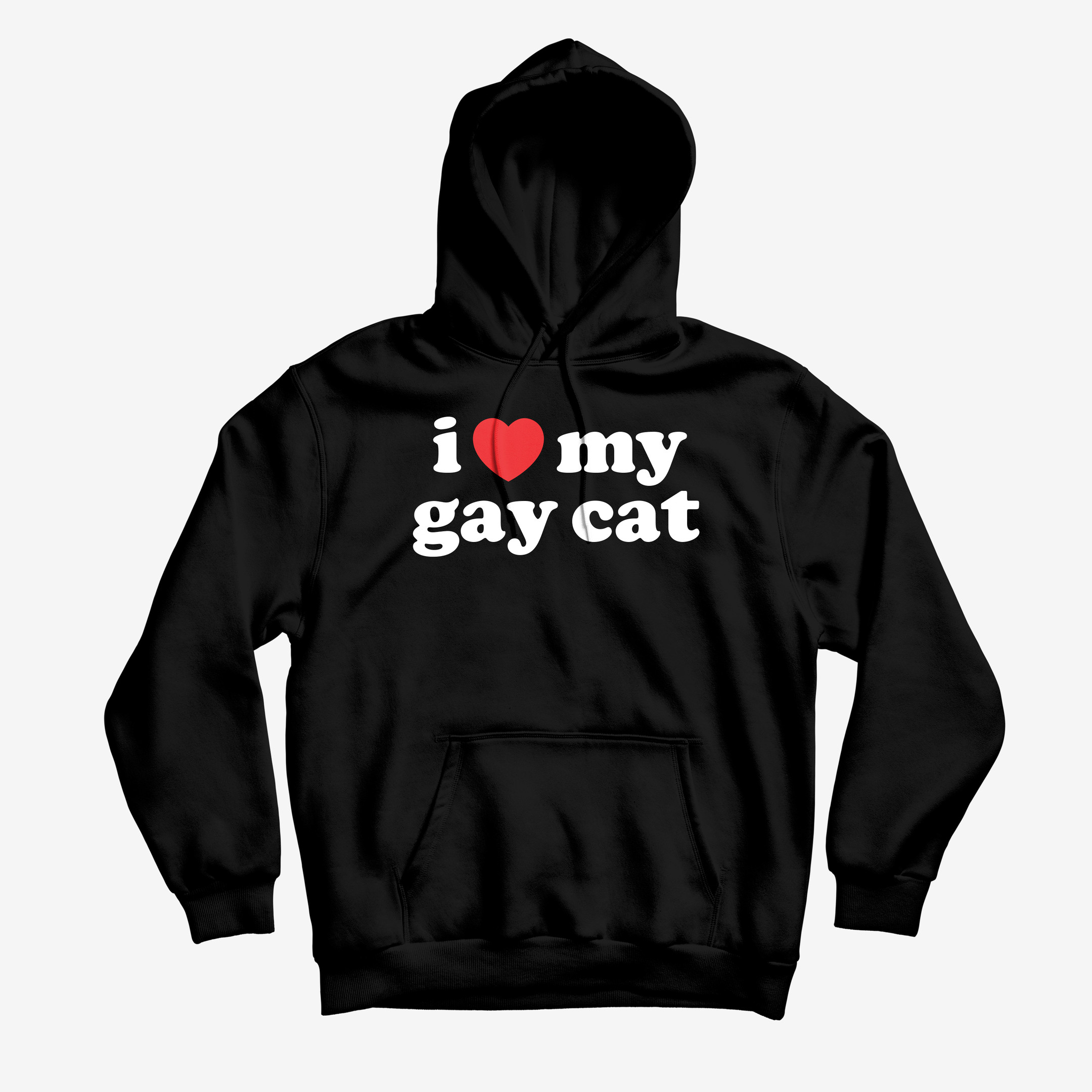 Danny Duncan Merch I Heart My Gay Cat Hoodie Funny Apparel Humorous Gifts For Christmas