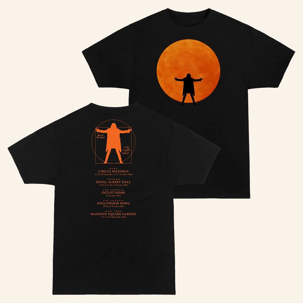 David Gilmour Merch Luck And Strange In Concert T-Shirt Gifts For Fans