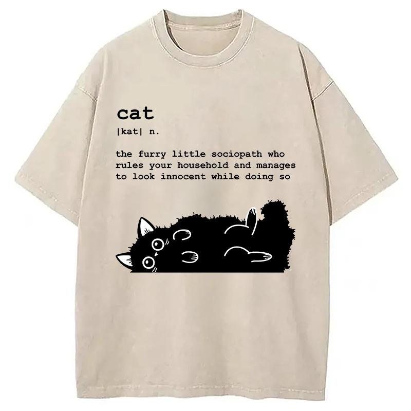 Definition Of Cat Funny Washed T-Shirt Retro Humor Outfit Idea Gifts For Friends