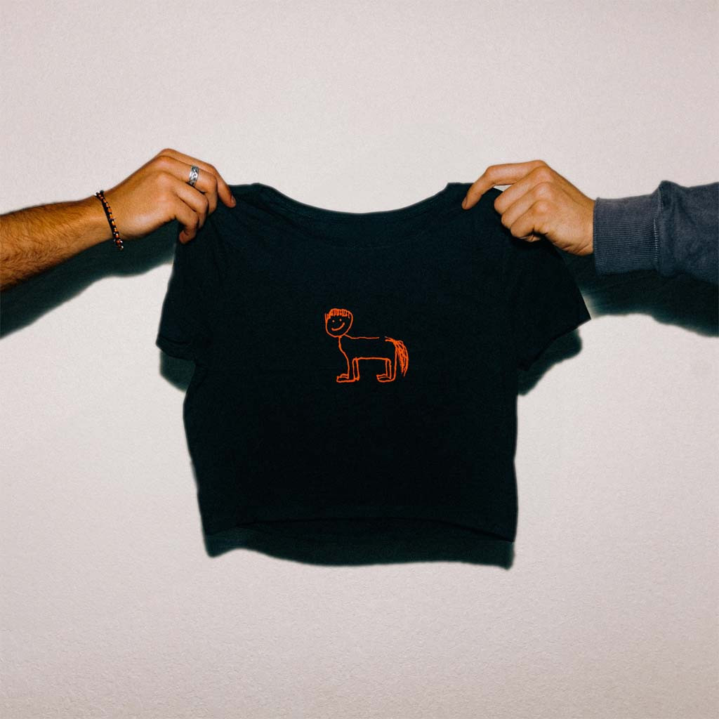 Del Water Gap Merch Horse with Bowl Cut Cropped T-Shirt For Ladies Gifts For Music Enthusiasts