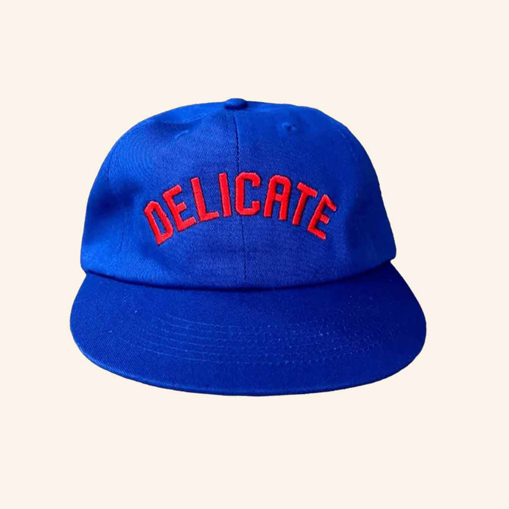 Delicate Steve Merch Delicate Embroidered Snapback Hat Christmas Ideas For Him Delicate Steve Merch Delicate Embroidered Snapback Hat Christmas Ideas For Him