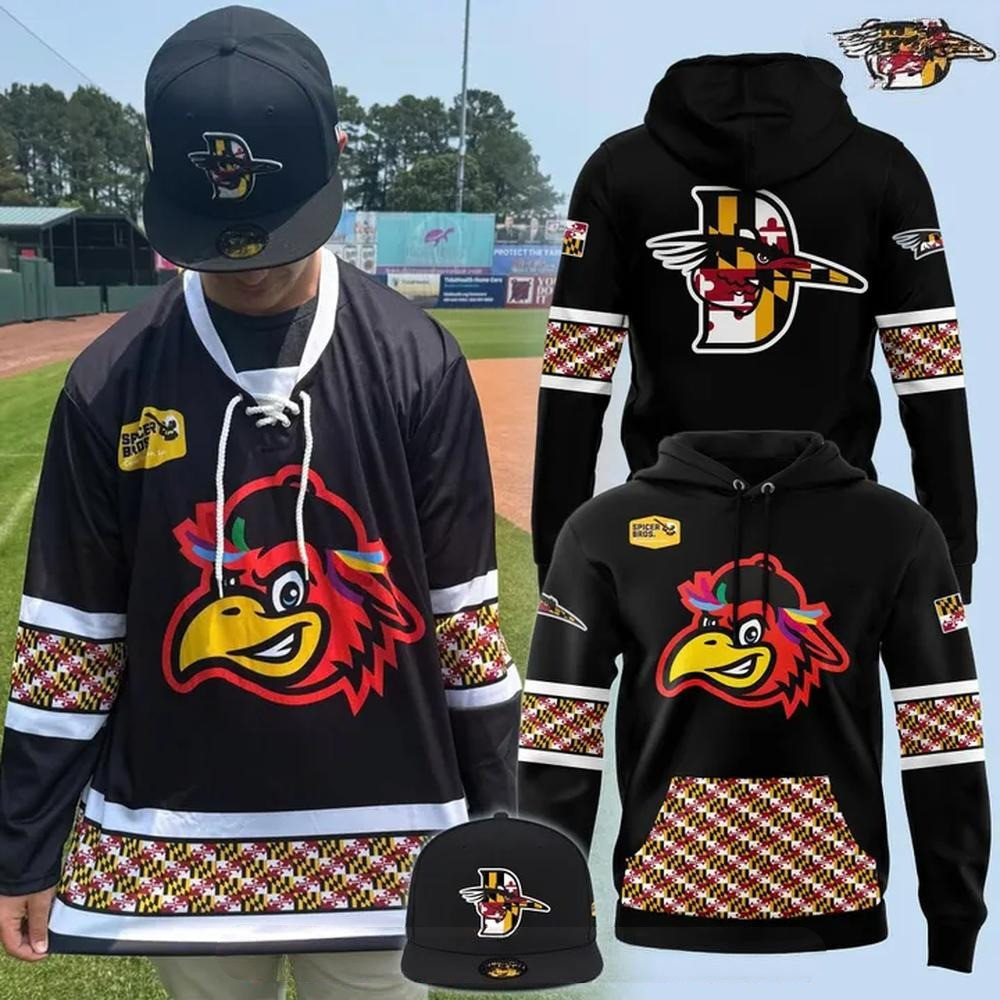 Delmarva Shorebirds Maryland Pride 2025 Special Hoodie Gifts For Baseball Lovers