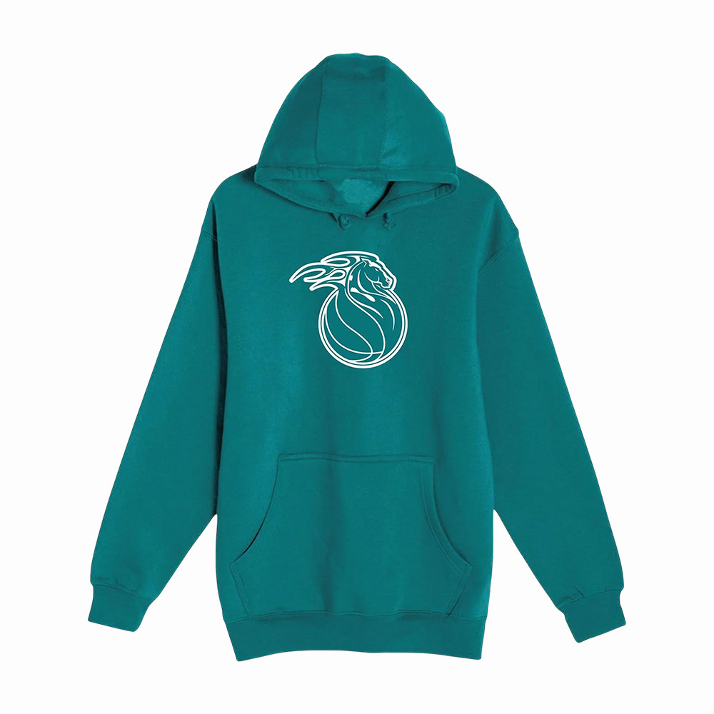 Detroit Pistons Merch Horse Head Logo Hoodie Gift For Basketball Legends