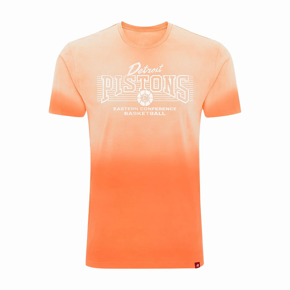 Detroit Pistons Merch Pistons National Basketball T-Shirt Gift For True Fans