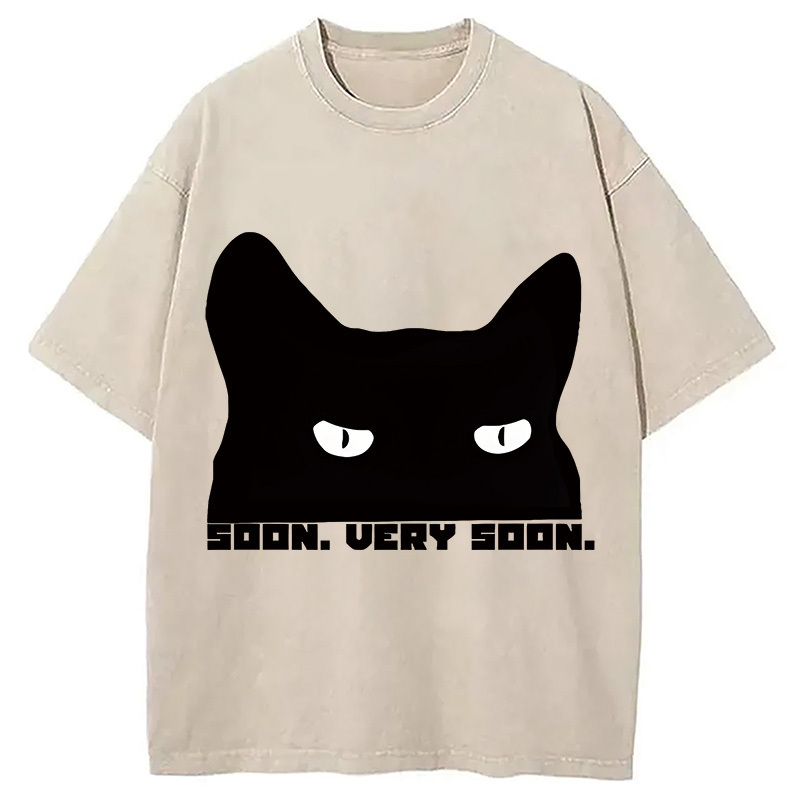 Devious Scheming Cat Soon Washed T-Shirt Funny Graphic Gift For Friends Gifts For Sister