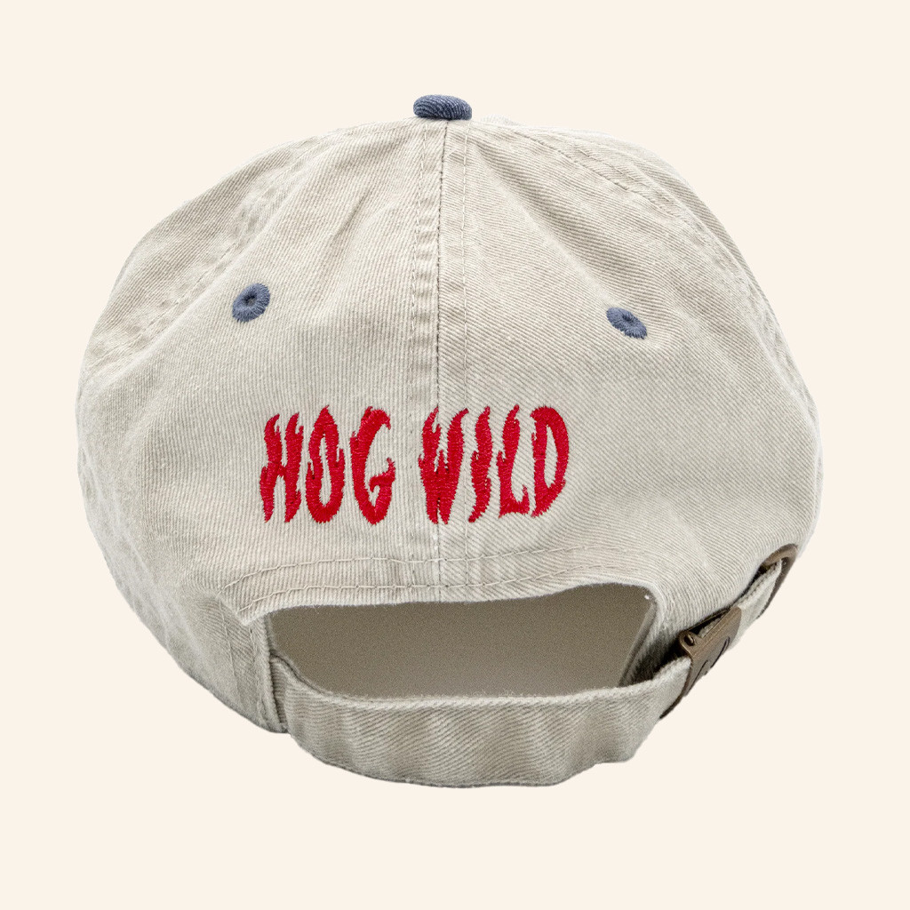 DFTBA Merch Embroidered Lizard Calm Hat Christmas Gifts For Friends