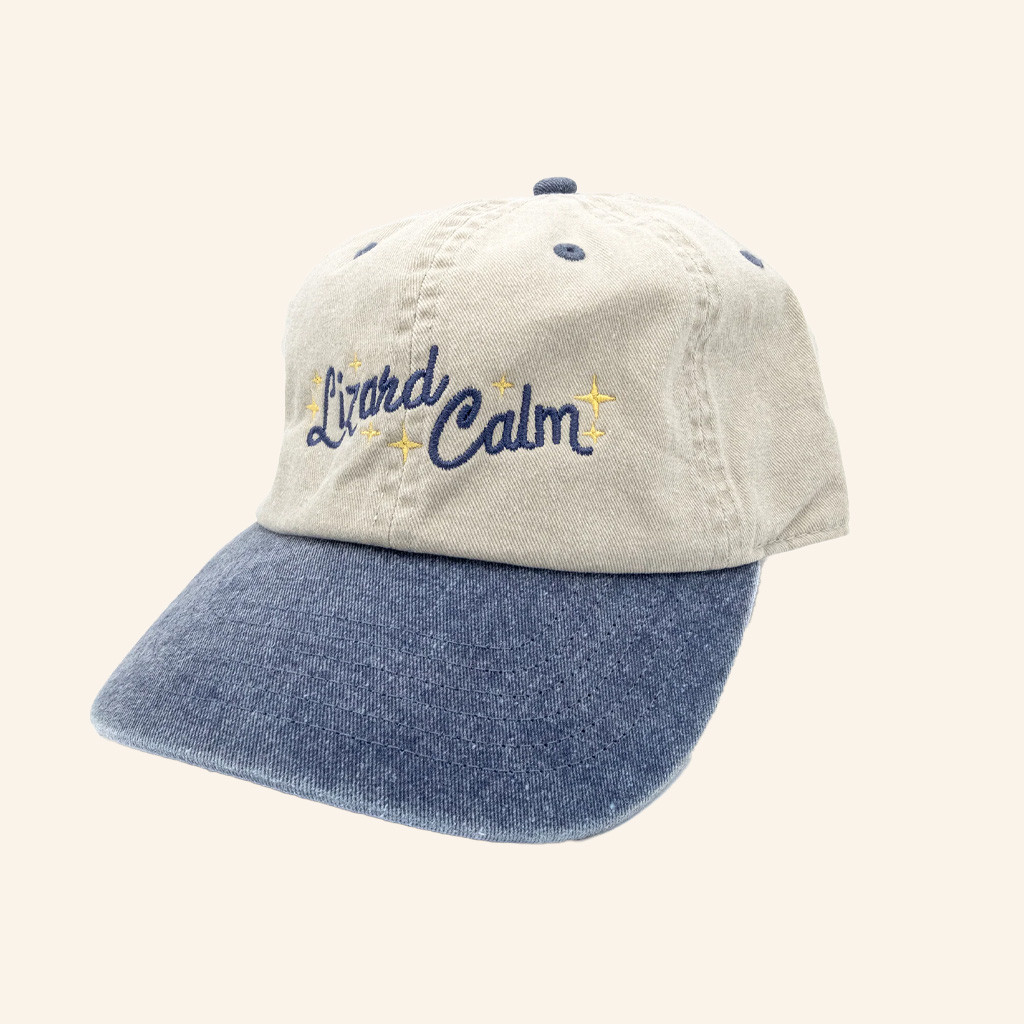 DFTBA Merch Embroidered Lizard Calm Hat Christmas Gifts For Friends