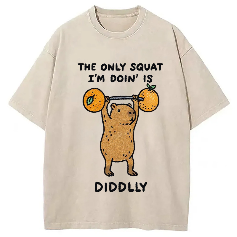 Diddly Capybara Washed T-Shirt Casual Oversized Outfit Style Gifts For Friends