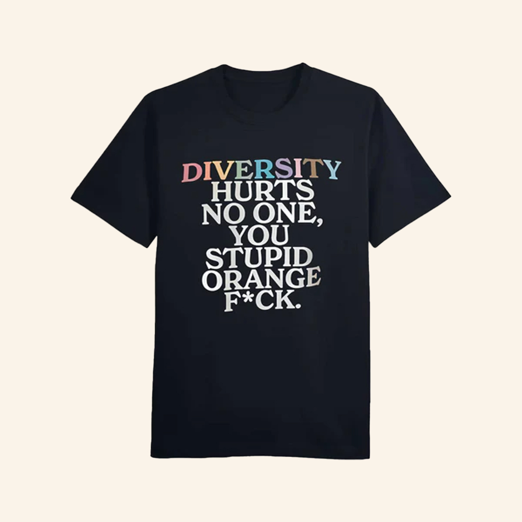 Diversity Hurts No One You Stupid Orange Fck T-Shirt Funny Slogan Shirt Gifts For Friends