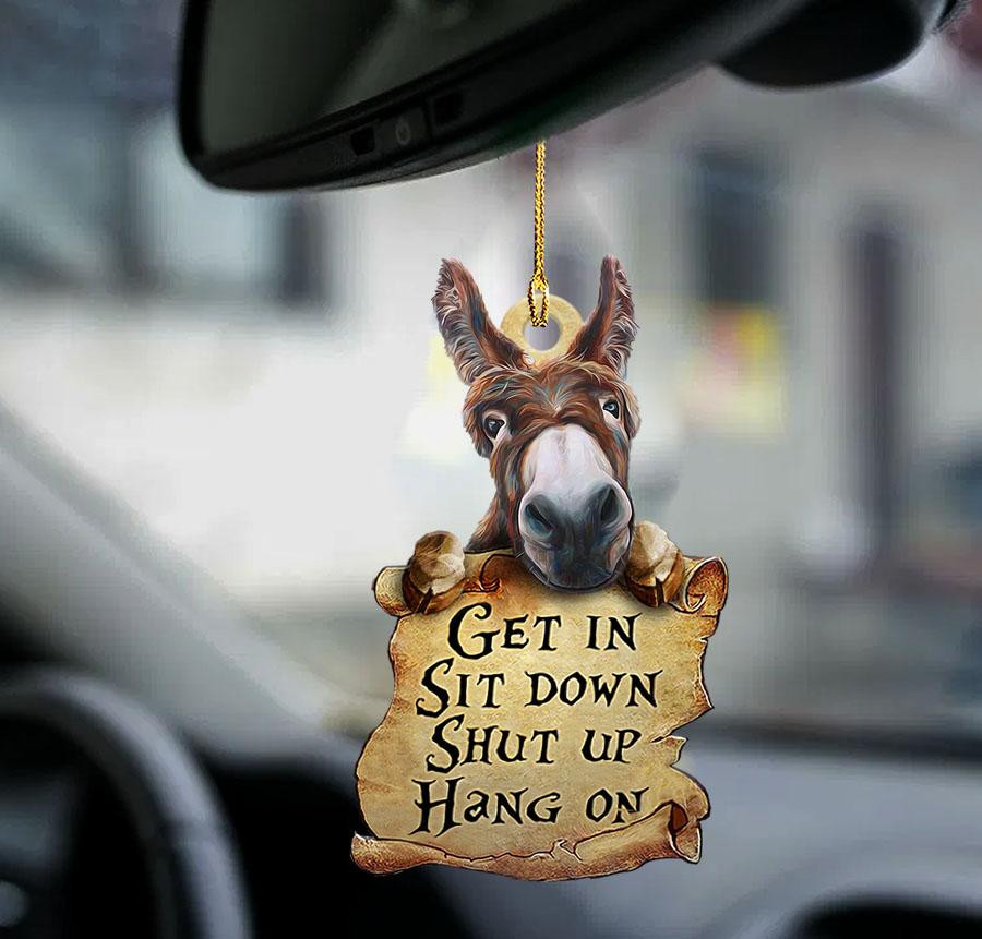 Donkey Car Hanging Ornaments get in donkey lovers two sided ornament