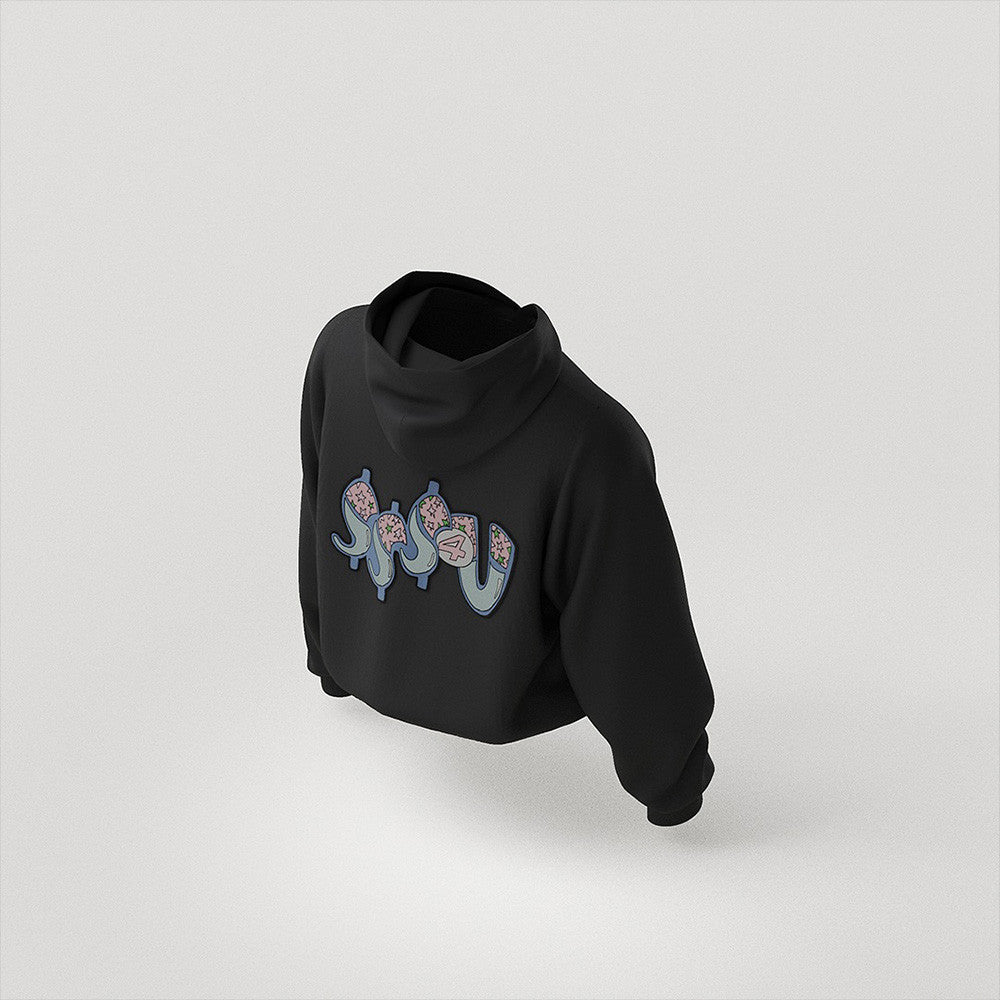 Drake $$$4U Merch Hoodie Some Sexy Songs 4 U Drake Hoodie Gifts For Partynextdoor Fans