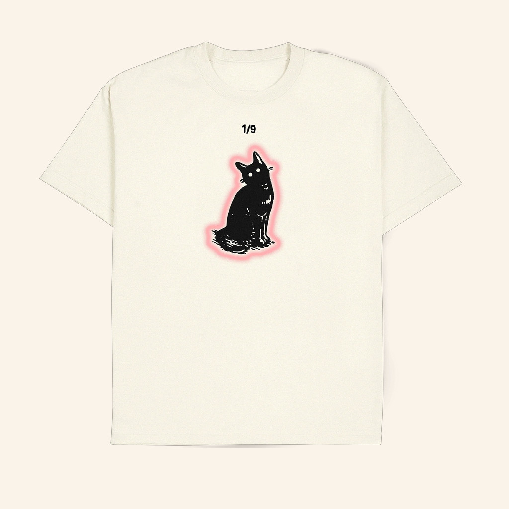 EAJ Park Merch EAJ 1 9 Tour Cat T-Shirt Gift Ideas For Music Lovers