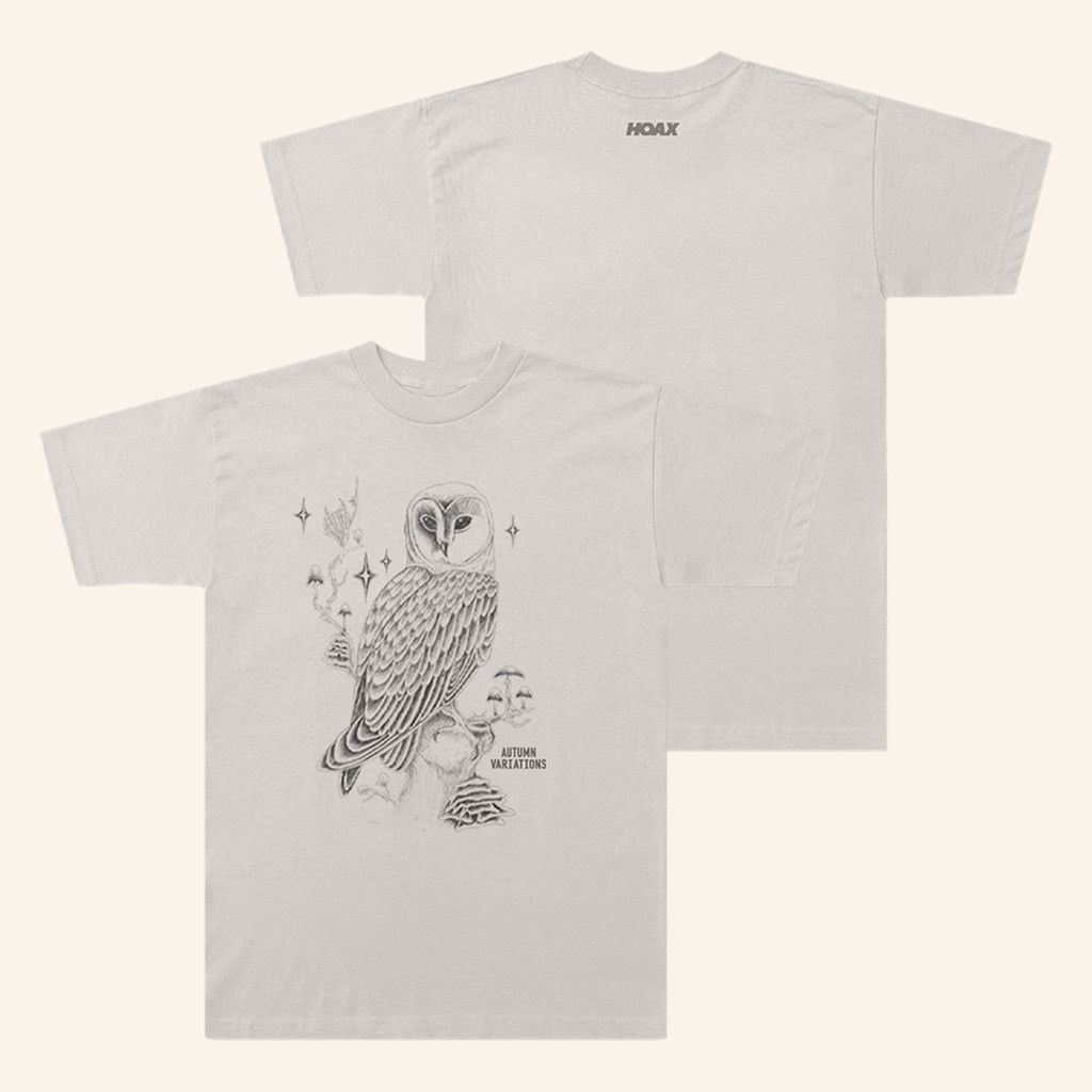 Ed Sheeran Merch Autumn Variations T-Shirt Music Related Gifts For Guys Ed Sheeran Merch Autumn Variations T-Shirt Music Related Gifts For Guys