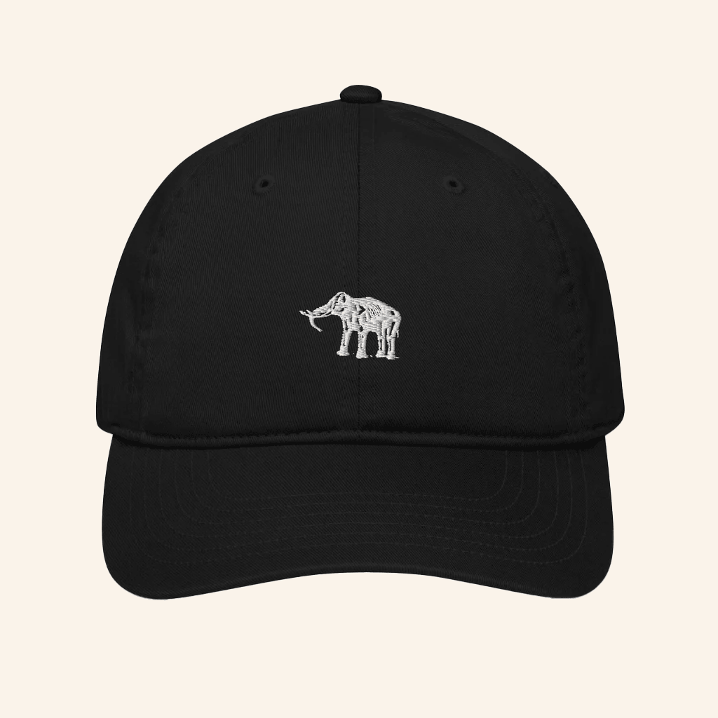 Elephant Sessions Merch Organic Hat Embroidered Best Gifts For Him Elephant Sessions Merch Organic Hat Embroidered Best Gifts For Him