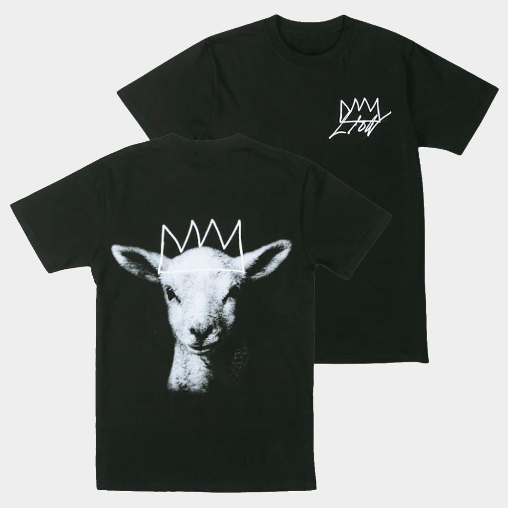 Elevation Church Merch Lion Album Artwork T-Shirt Birthday Ideas For Husband