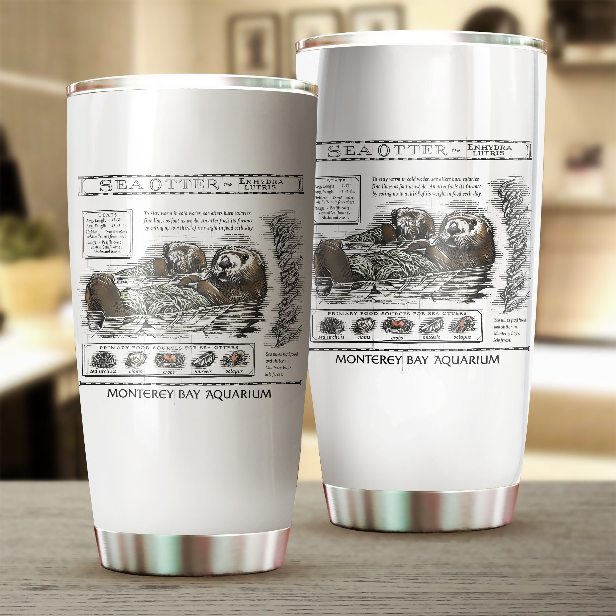 Enhydra Lutris Sea Otter Tumbler The Life Of An Ocean Being Sea Otter Taylor Swift Ideal Gifts