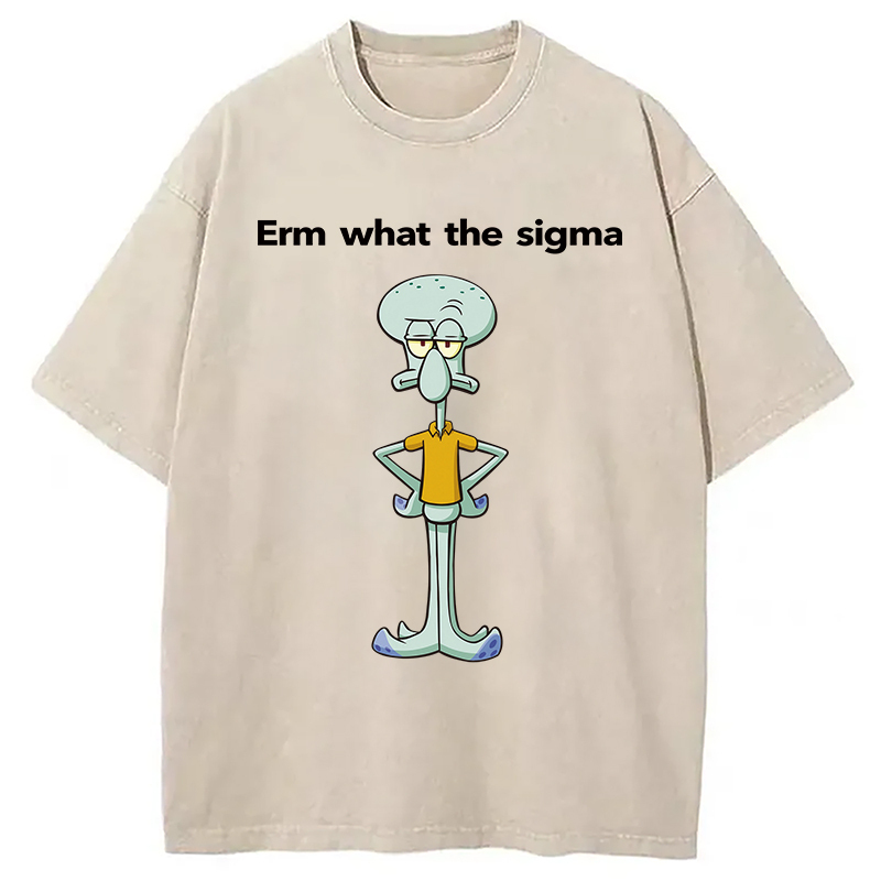 Erm What The Sigma Washed T-Shirt Retro Humor Graphic Top Gifts For Friends