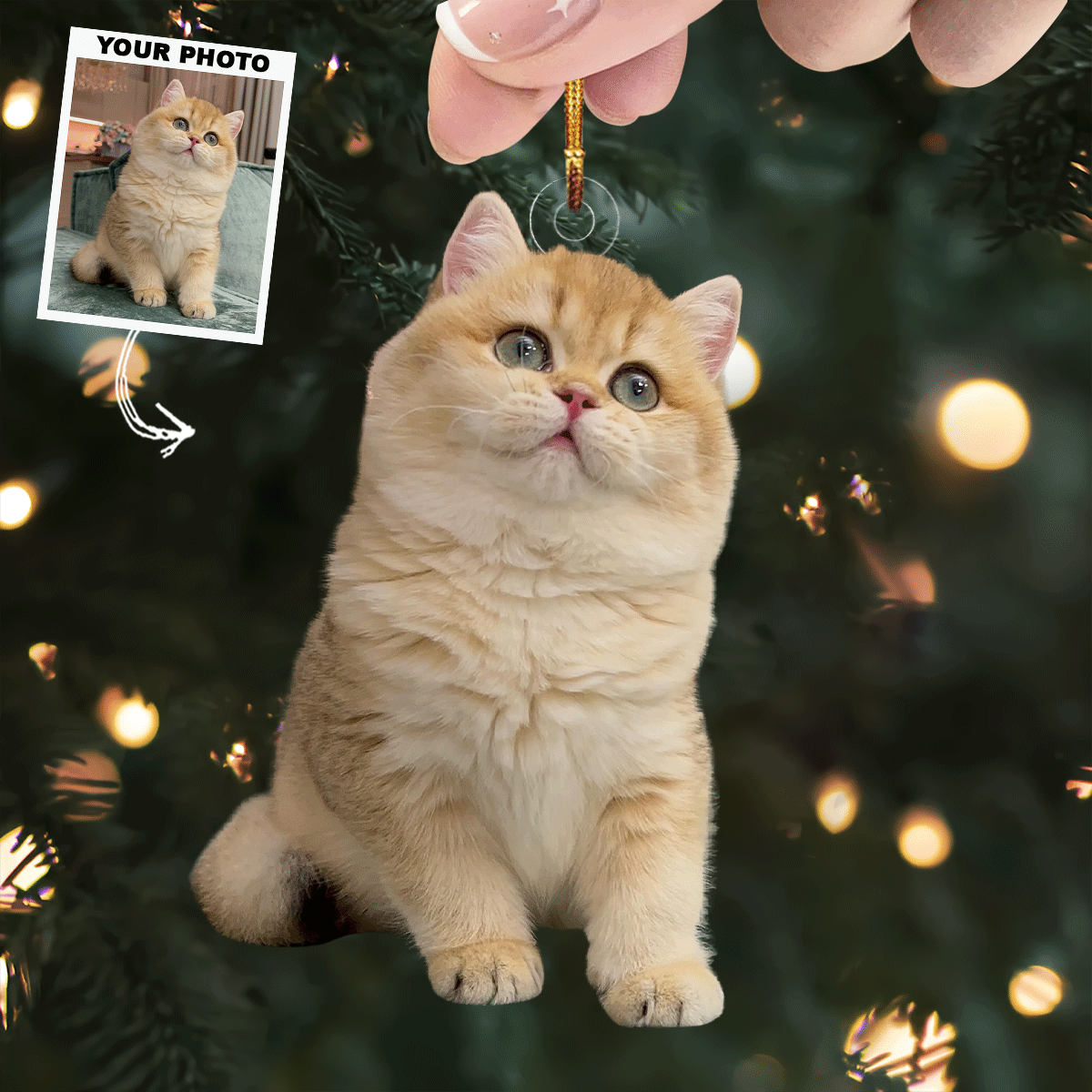 Festive Furball Personalized Photo Mica Ornament Christmas Gift For Cat Lovers Cat Own