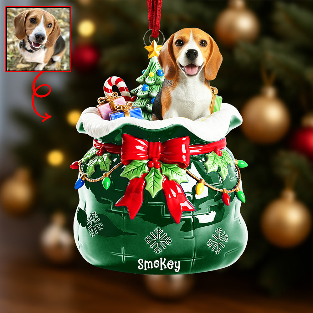 Festive Pet Keepsake Christmas Ornament - Custom Photo Gifts For Pet Lovers - Cute Christmas Tree Gift Idea