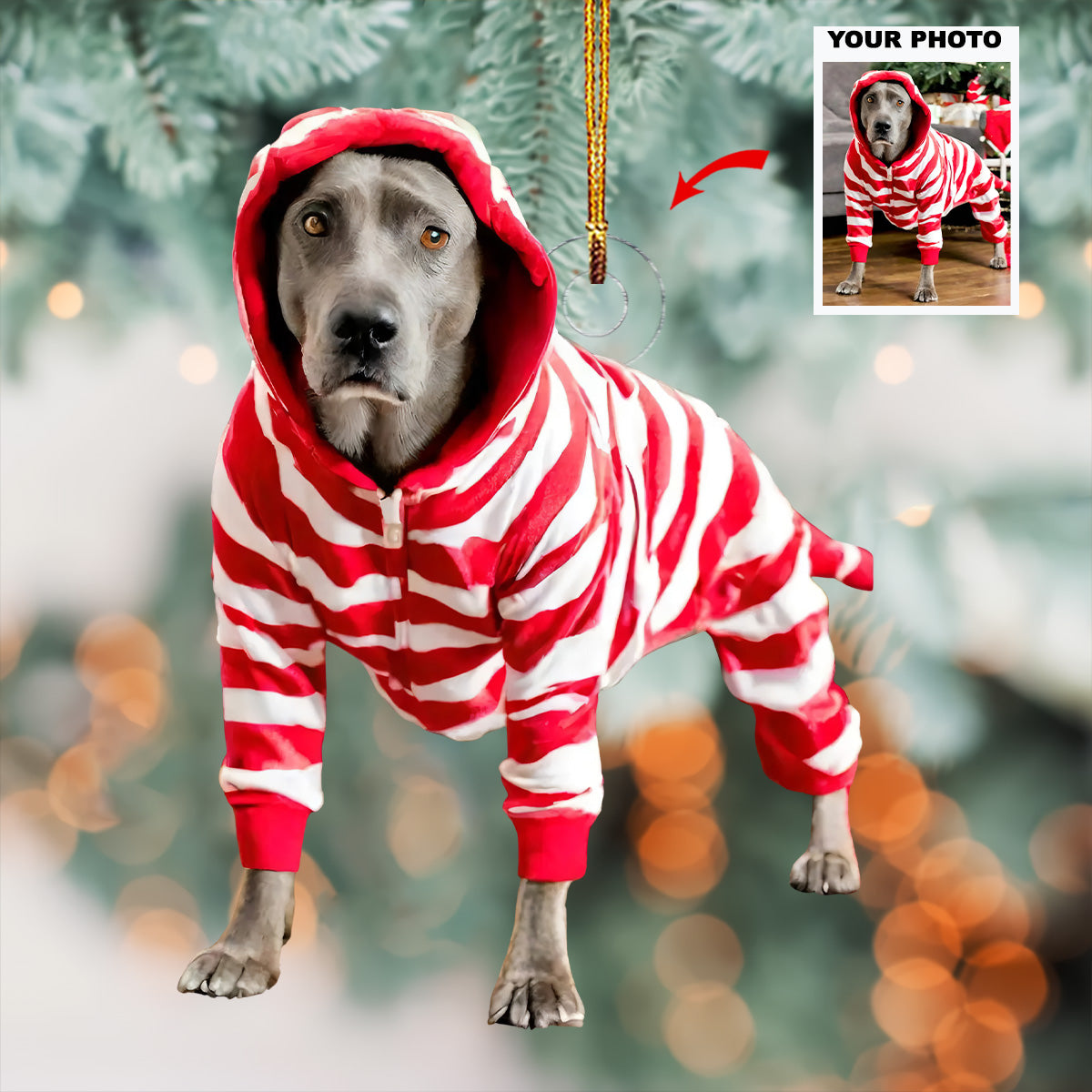 Festive Stripes Personalized Photo Mica Ornament Gift For Dog Lovers Pet Lovers Dog Mo