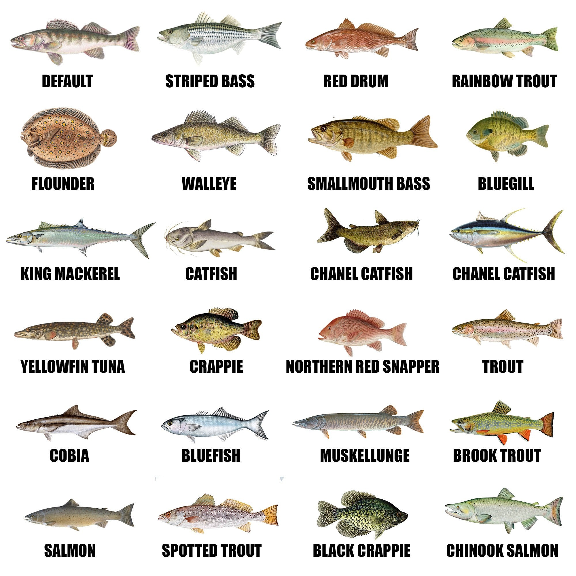 Fish It Was This Big Fish Hoodie Ask Me How Big It Was Hoodie Gift